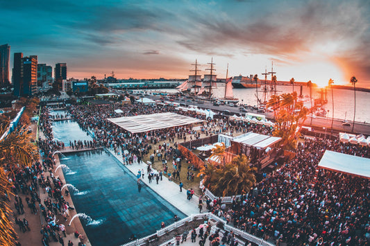 CRSSD Fest Fall 24 Talent to Check Out